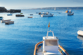 Flávio Corrêa Leite