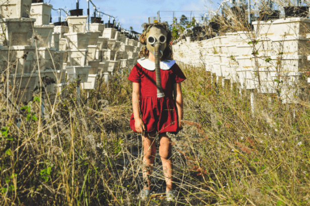 Jacques Dimas Mattos Albuquerque de Souza