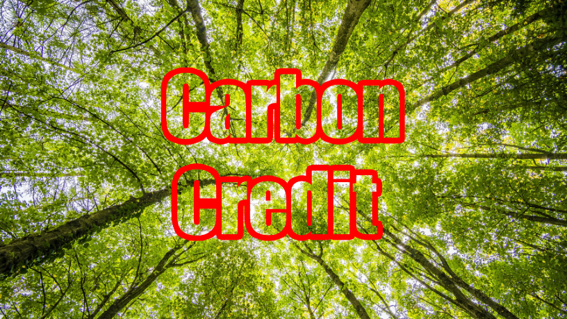 Sustentabilidade e fiscalidade: a leitura de Leonardo Manzan sobre créditos de carbono em cenários globais.