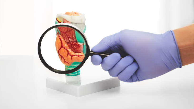 Gustavo Luíz Guilherme Pinto explica o que são as doenças autoimunes, seus principais tipos e como elas impactam o equilíbrio do corpo.